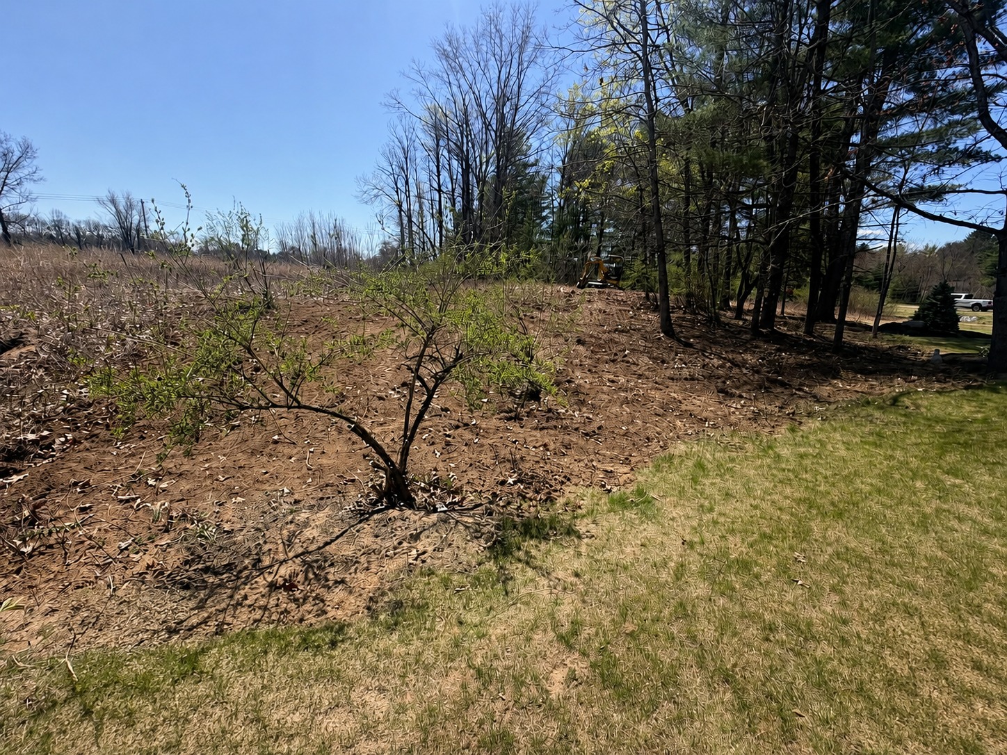 Land clearing