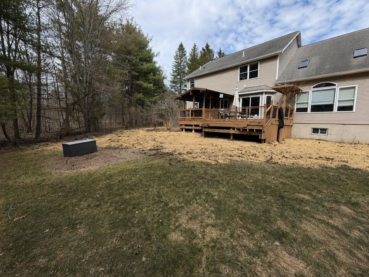 Partial Deck Removal & Brush Clearing